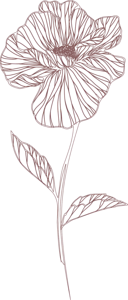 Graphic of Poppy flower