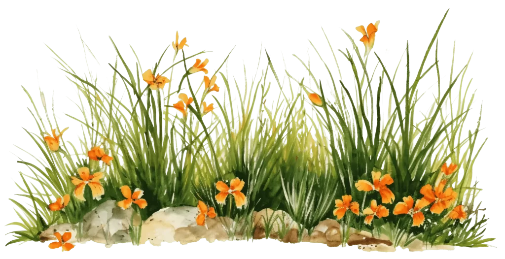 Orange flowers with tall wild grass on top of a rocky dirt ground.